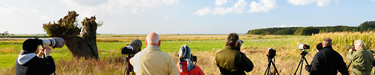 Credit: Nick Upton/Naturepl.com People birdwatching. Credit: Nick Upton/Naturepl.com